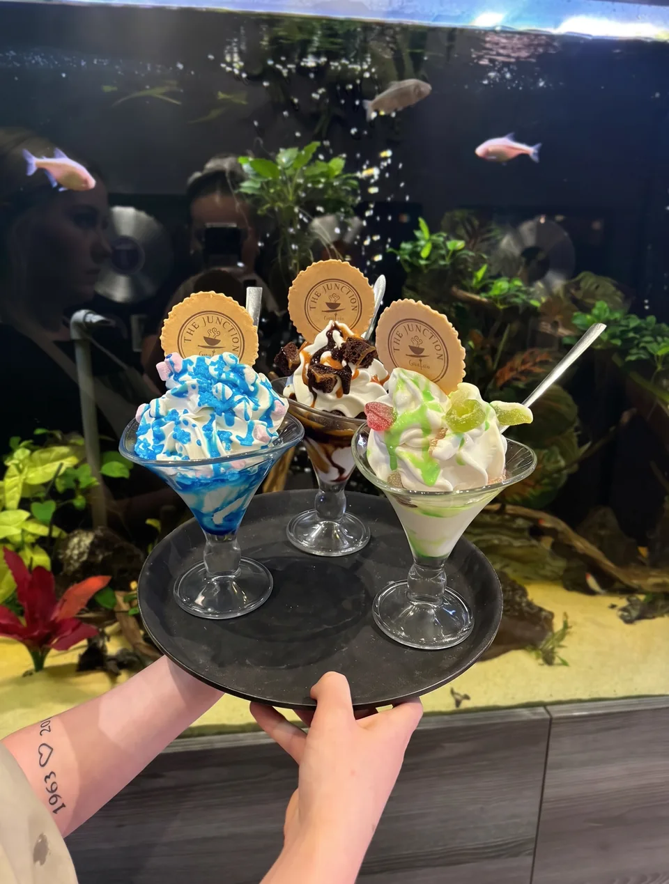 Three sundaes carried past the fish tank