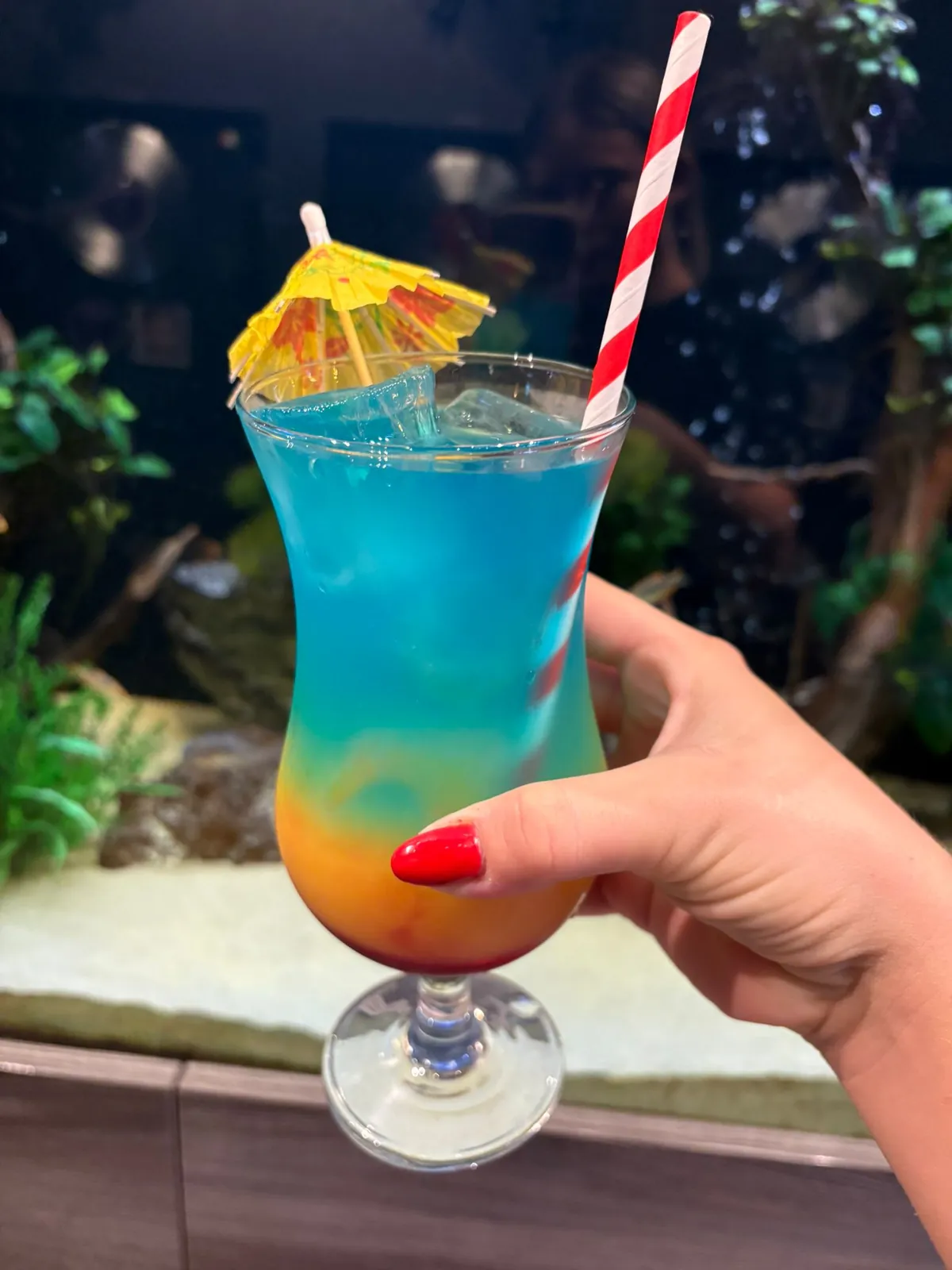 A blue layered cocktail held up in front of the fish tank