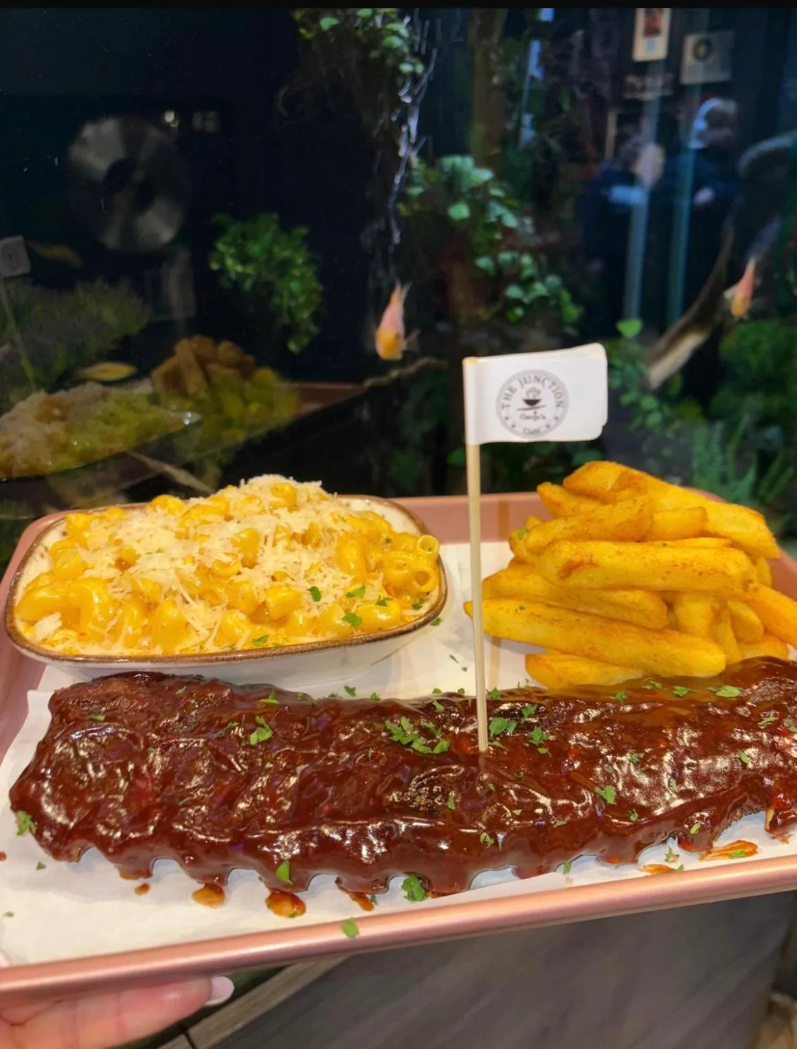 BBQ rack of ribs with mac n’ cheese and fries