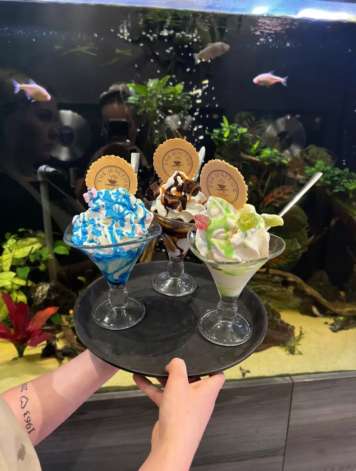 Three sundaes carried past the fish tank