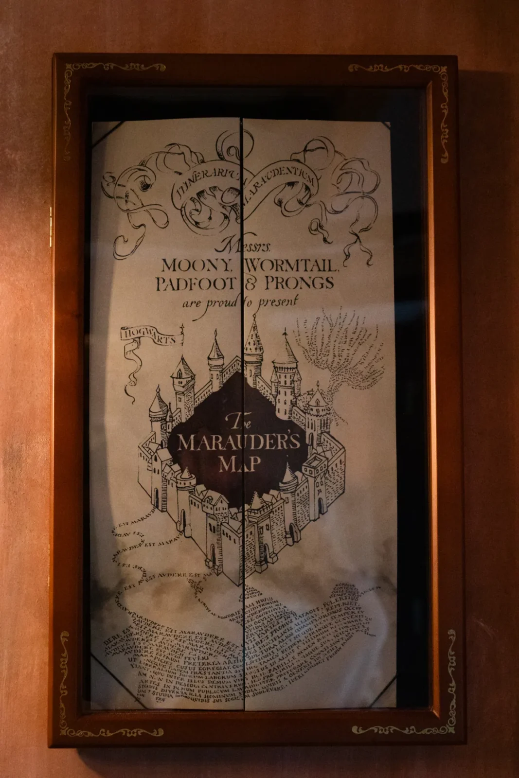 Messrs Moony, Wormtail, Padfoot and Prongs, framed on the plaster wall.