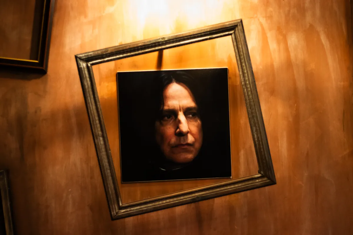 A painted Snape stares out of an empty gold frame. Mind your manners.