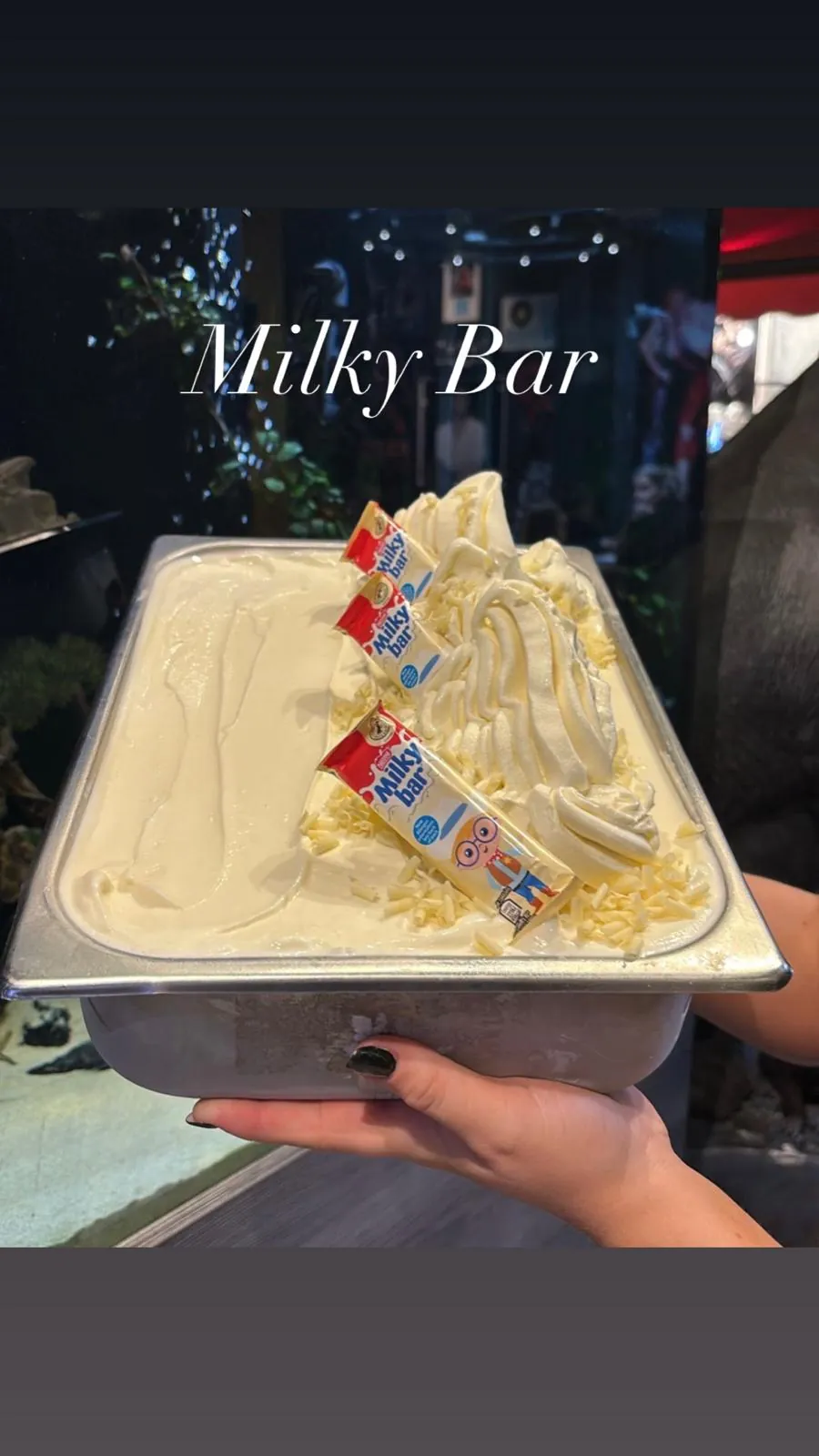 Milky Bar gelato in the counter tray