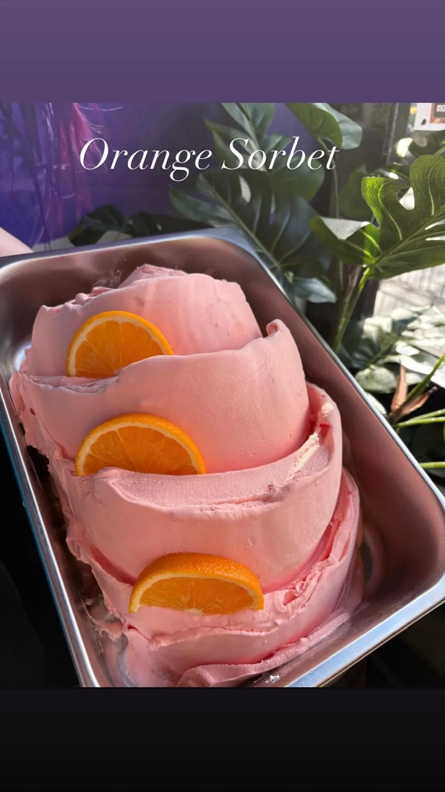 Orange Sorbet gelato in the counter tray