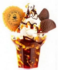 Choc Orange whippy sundae